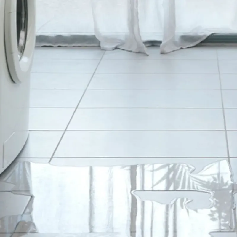 Appliance Leak Cleanup in Union County, IL