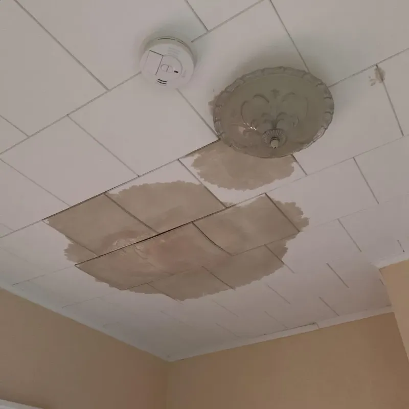 Ceiling Water Damage Repair in Union County, IL