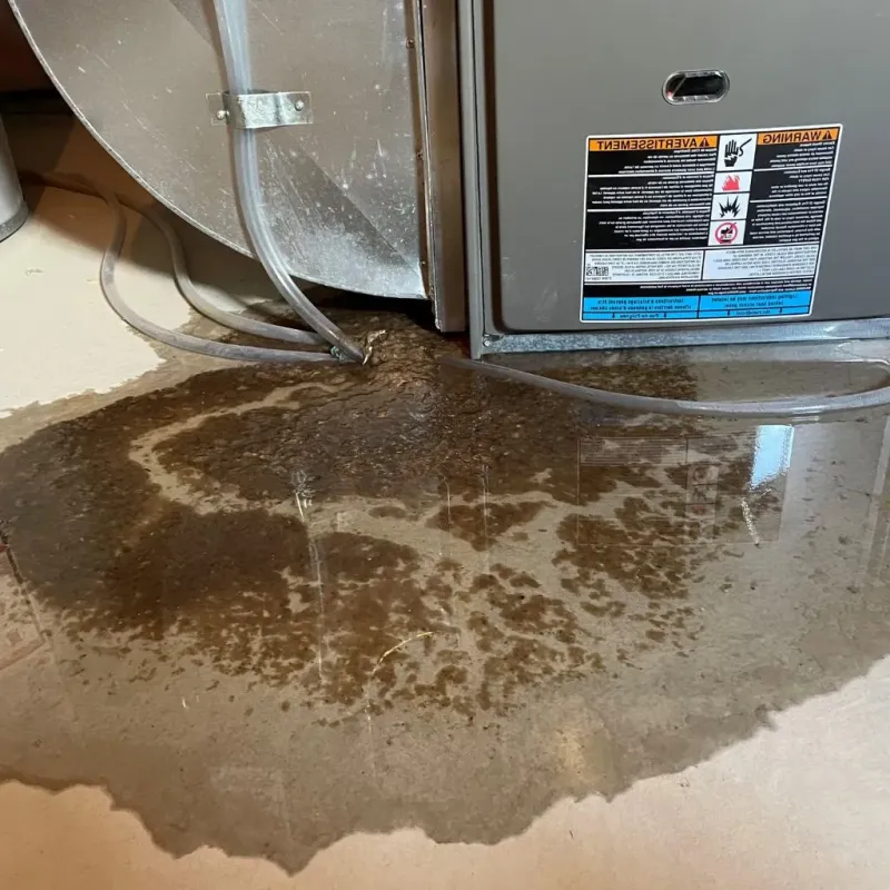 Pipe Burst and Leak Restoration in Union County, IL