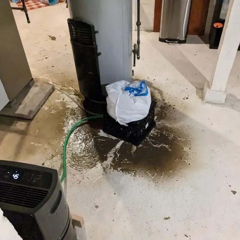 Sewage Backup Cleanup Service in Union County, IL